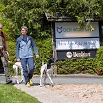 Hotel Der Wolfshof - Dein Zuhause Im Harz