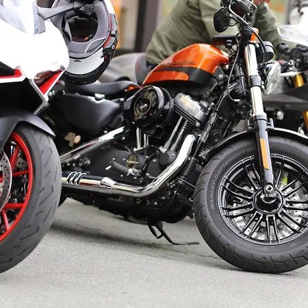 ホテル Der Wolfshof - Dein Zuhause Im Harz 3*
