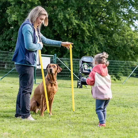 Der Wolfshof - Dein Zuhause Im Harz