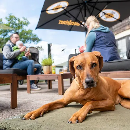 Der Wolfshof - Dein Zuhause Im Harz Szálloda Langelsheim