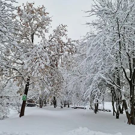 Der Wolfshof - Dein Zuhause Im Harz