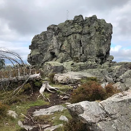 Der Wolfshof - Dein Zuhause Im Harz ホテル ランゲスハイム
