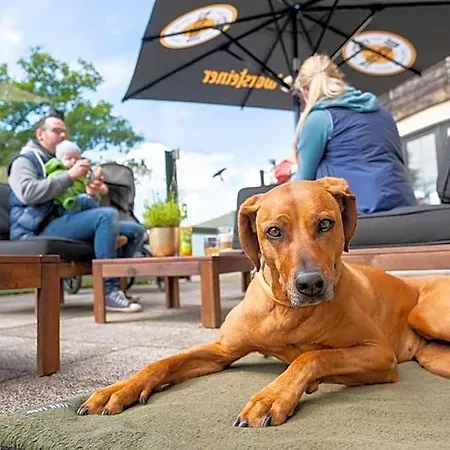 Hotel Der Wolfshof - Dein Zuhause Im Harz Langelsheim