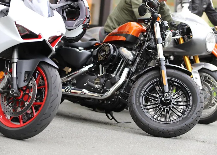 Hotel Der Wolfshof - Dein Zuhause Im Harz 3*