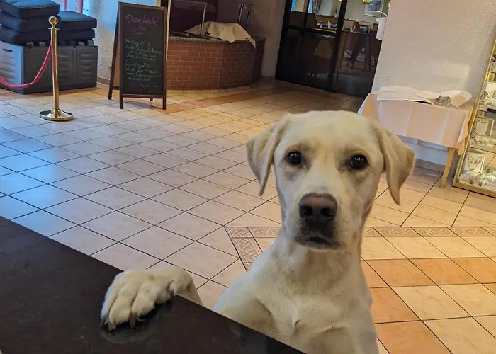 Der Wolfshof - Dein Zuhause Im Harz Hotel 3*